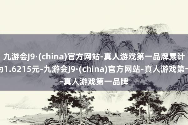 九游会J9·(china)官方网站-真人游戏第一品牌累计净值为1.6215元-九游会J9·(china)官方网站-真人游戏第一品牌