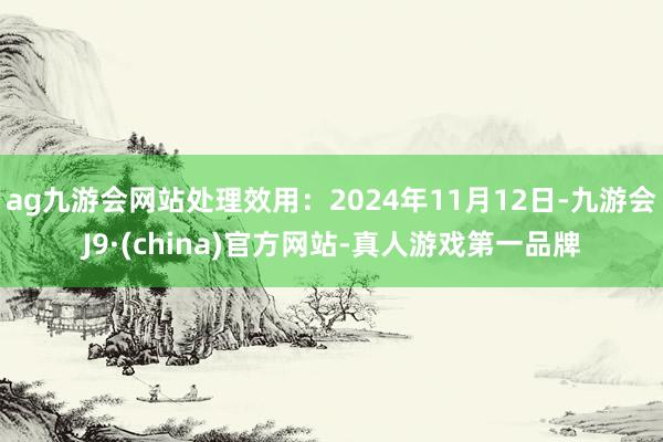ag九游会网站处理效用：2024年11月12日-九游会J9·(china)官方网站-真人游戏第一品牌