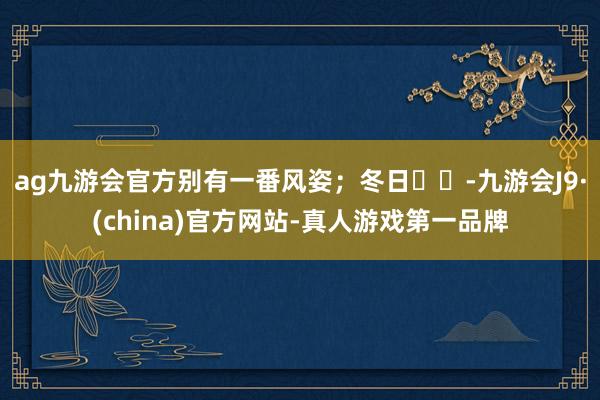 ag九游会官方别有一番风姿；冬日❄️-九游会J9·(china)官方网站-真人游戏第一品牌