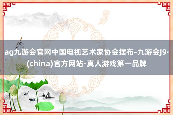 ag九游会官网中国电视艺术家协会摆布-九游会J9·(china)官方网站-真人游戏第一品牌