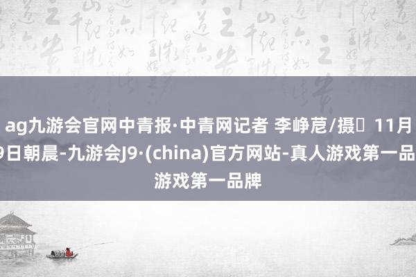 ag九游会官网中青报·中青网记者 李峥苨/摄​11月29日朝晨-九游会J9·(china)官方网站-真人游戏第一品牌
