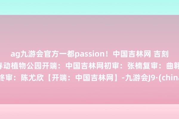 ag九游会官方一都passion！中国吉林网 吉刻APP记者 殷维图片素材 长春动植物公园开端：中国吉林网初审：张楠复审：曲翱终审：陈尤欣【开端：中国吉林网】-九游会J9·(china)官方网站-真人游戏第一品牌