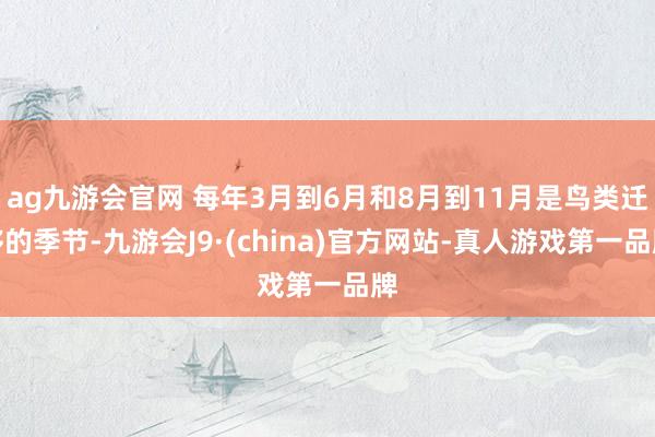 ag九游会官网 每年3月到6月和8月到11月是鸟类迁移的季节-九游会J9·(china)官方网站-真人游戏第一品牌